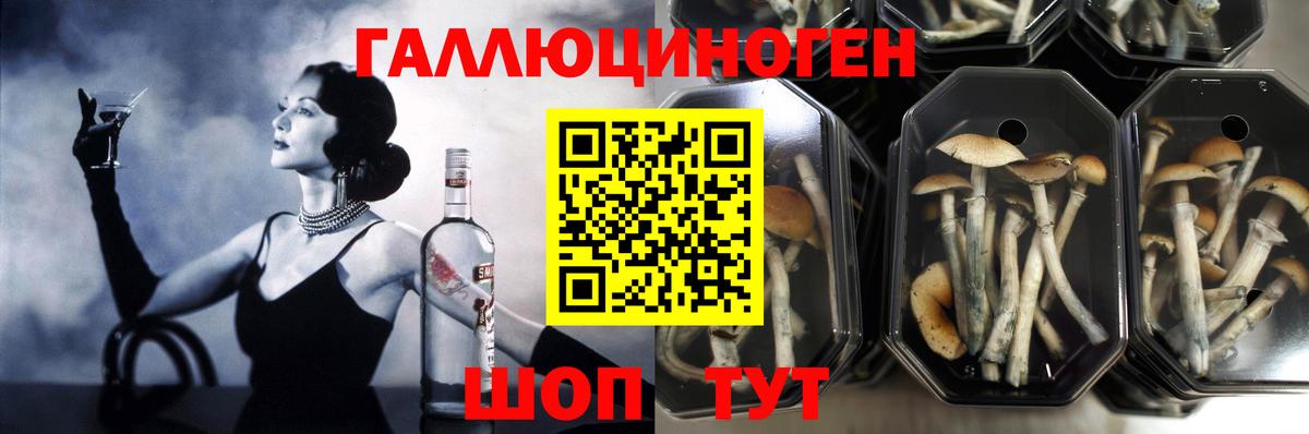 Галлюциногенные грибы мухоморы Всеволожск
